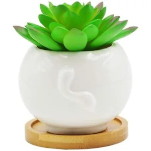 Macetas suculentas maceta de cerámica con forma de vaca_4