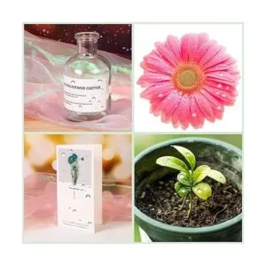 700 adornos de gota de rocío de agua transparente_6