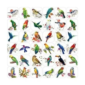 600 pegatinas de pájaros para niños fotos de pájaros_1