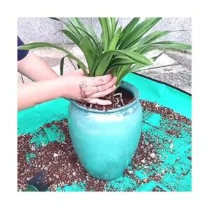 Tapete grande de 39.4 x 39.4 pulgadas para plantas de_2