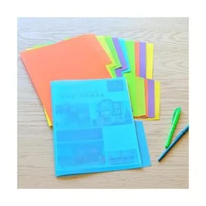 Youngever Paquete de 10 carpetas de pestañas de plástico_3