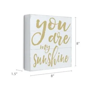 Barnyard Designs Letrero de madera You Are My Sunshine_5