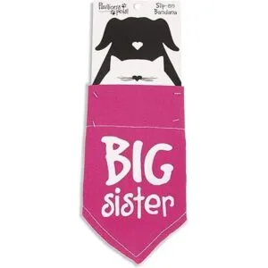 Pavilion Gift Company 45614 Pavilions Pets Bandana_2