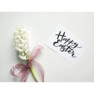 Ribbonitlux Cinta de organza transparente de 1 pulgada_5