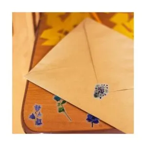 Modixun 160 calcomanías decorativas transparentes para_5