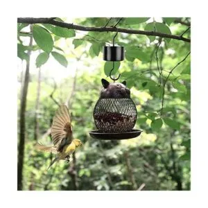 MR.FOAM Foso grande y grande para comederos de colibríes_7