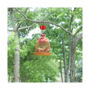 MR.FOAM Foso grande y grande para comederos de colibríes_5