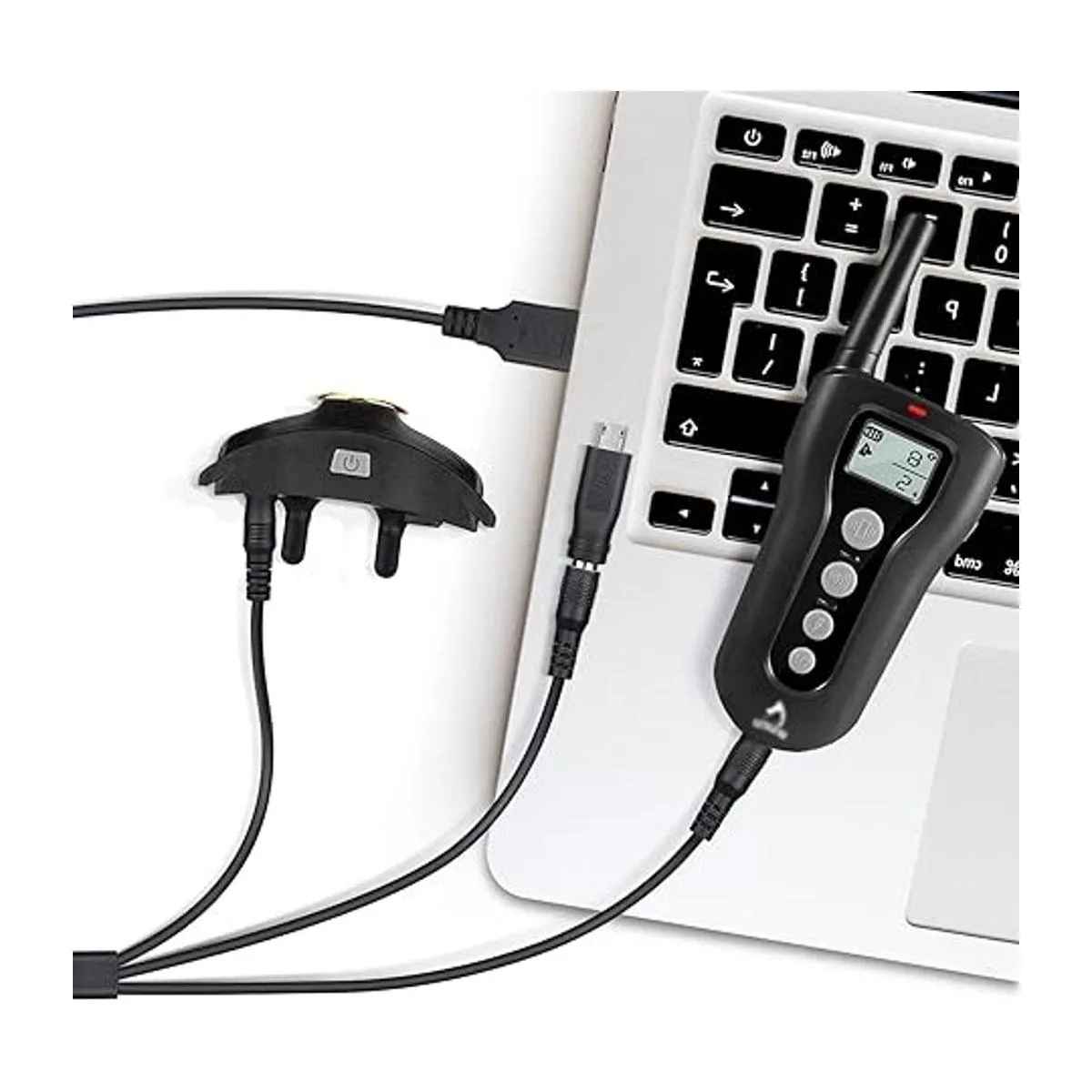 Cargador de collar de choque de repuesto para Petrainer_3