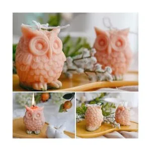 Moldes de resina hechos a mano para yeso aroma de soja_4