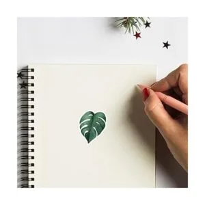 Monstera Pegatinas de hojas de 1.0 in para álbumes de_3