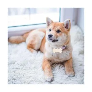 30 piezas de mini huesos de madera DIY recortes de 2_6