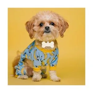 30 piezas de mini huesos de madera DIY recortes de 2_7