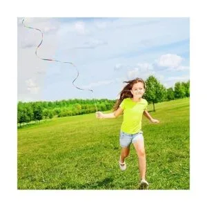 2 piezas de serpentina de seda arco iris de 8 pies de_5