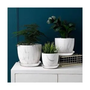 UPMCT Paquete de 6 platos para plantas 6 8 10_6