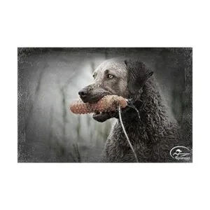 SportDOG Brand Chupetes de plástico Herramienta de_2