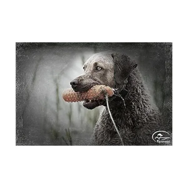 SportDOG Brand Chupetes de plástico Herramienta de_2
