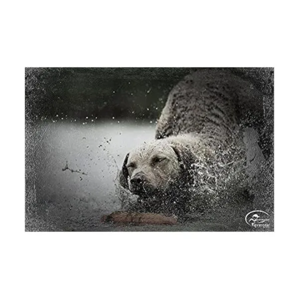 SportDOG Brand Chupetes de plástico Herramienta de_3