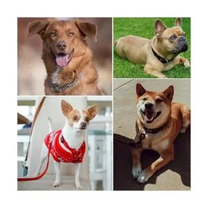 12 anillos tóricos de metal de 1 pulgada de acero_6