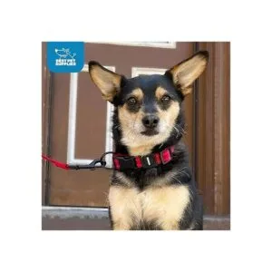 Best Pet Supplies Collar reflectante para perro con_5