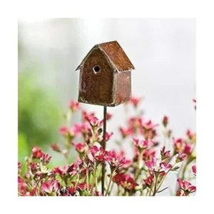 Jardín de hadas MiniGardenn G F_2