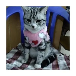 ANIAC Disfraz de mascota linda ropa de conejo chaleco_4