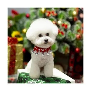 200 cascabeles cascabeles de 35 pulgadas para_5