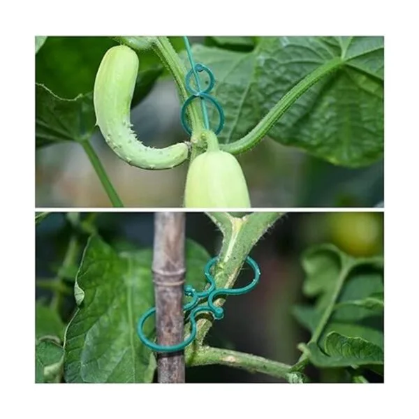 TELENT OUTDOORS Corbata suave para plantas de 118 pies_6