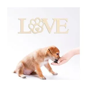 Placa de madera de pata de amor 3 piezas placa de madera_3