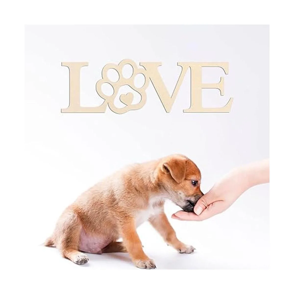 Placa de madera de pata de amor 3 piezas placa de madera_3