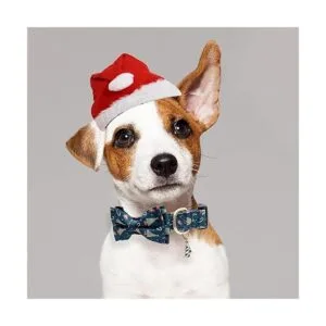 Collar de perro de Navidad de algodón con corbata de lazo_6