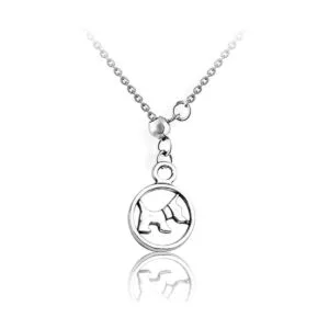 30pcs Antiguo Tibetano Plata Animal Encantos Aleación Pet_6