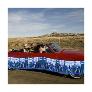 2 Pack Iridescent Fringe Float Curtain Metallic Foil_6