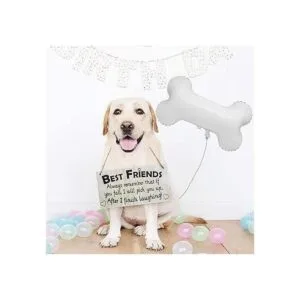 Creaides 6 globos de hueso de aluminio para perros en_3