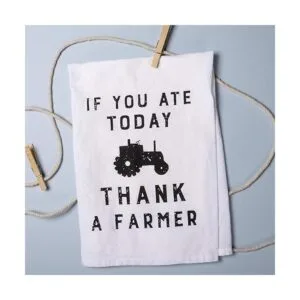 Primitives by Kathy Farmhouse Toalla para platos 28.0 x_3