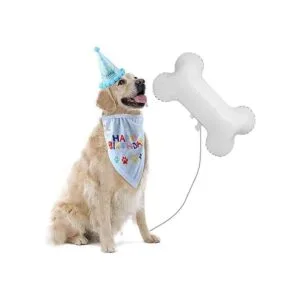 Creaides 6 globos de hueso de aluminio para perros en_4