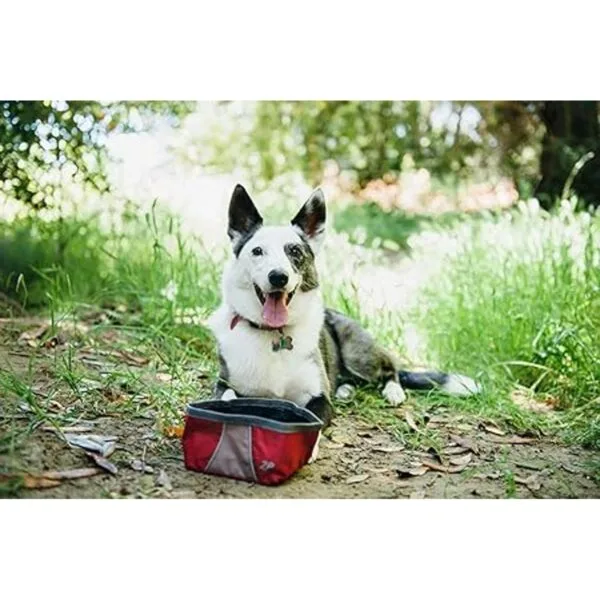 ZippyPaws Cuenco portátil de aventura al aire libre para_6