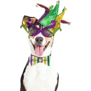 Estivaux Cintas de Mardi Gras para corona 2.5 pulgadas x_4