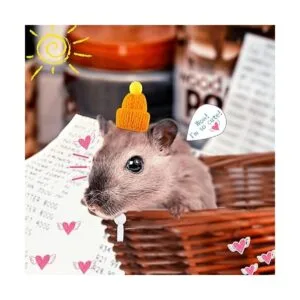 20 piezas de sombrero de serpiente para mascotas con_7