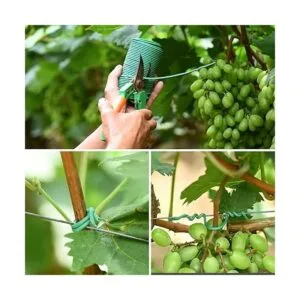 TELENT OUTDOORS Lazos suaves para plantas de 80 pies_4