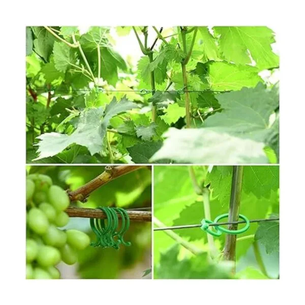 TELENT OUTDOORS Lazos suaves para plantas de 80 pies_3