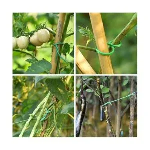 TELENT OUTDOORS Lazos suaves para plantas de 80 pies_5