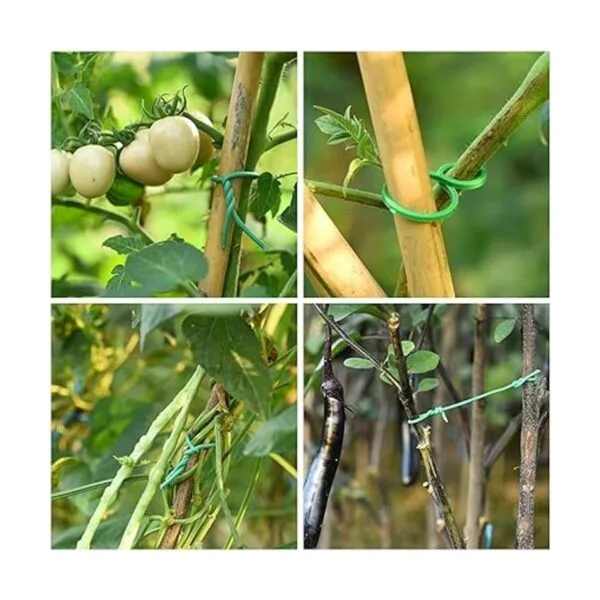 TELENT OUTDOORS Lazos suaves para plantas de 80 pies_5