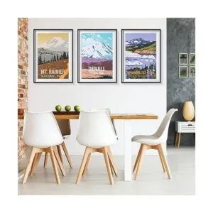 Juego de 16 pósteres vintage del parque nacional sin_5