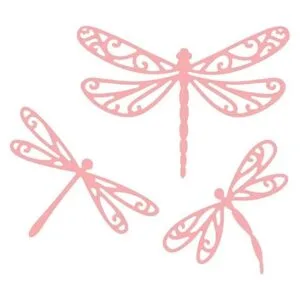 Juego de 3 piezas de hermoso marco de libélulas_4