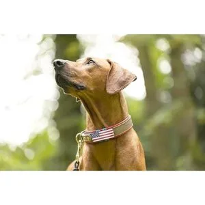 Funda rastreador de EE. UU. rojo blanco y azul_2