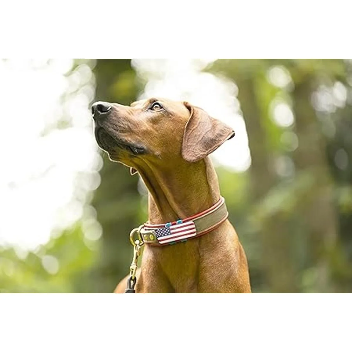 Funda rastreador de EE. UU. rojo blanco y azul_2