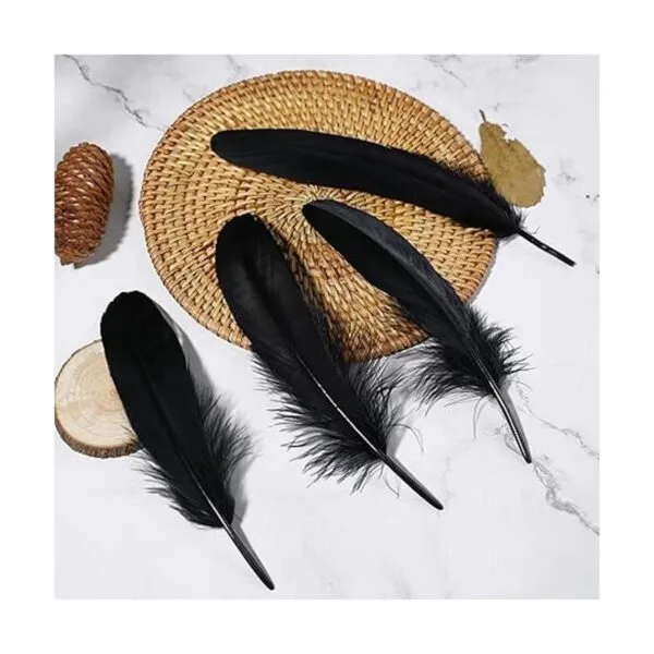 Ballinger Plumas negras para manualidades a granel 120_2