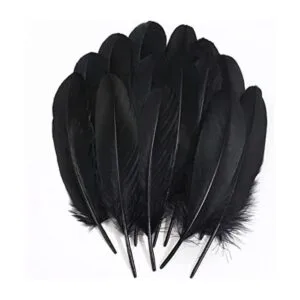Ballinger Plumas negras para manualidades a granel 120_1