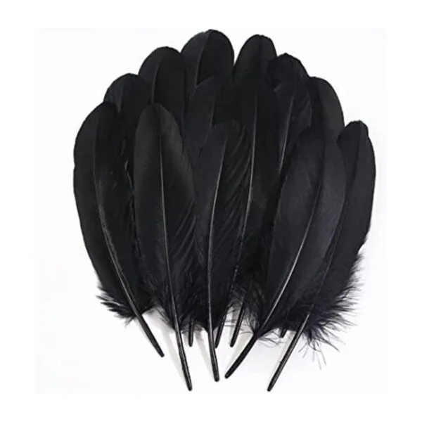 Ballinger Plumas negras para manualidades a granel 120_1