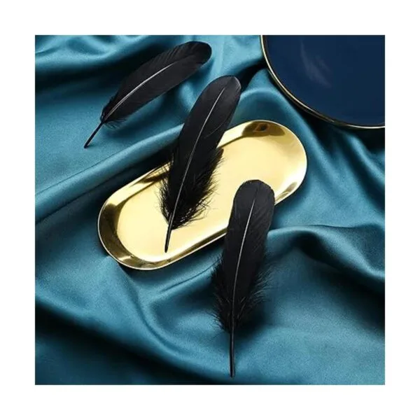 Ballinger Plumas negras para manualidades a granel 120_5